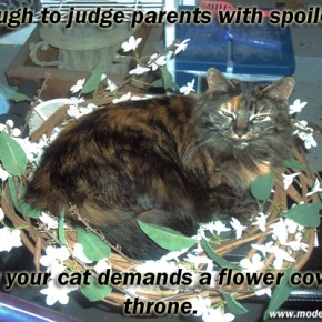 The Hypocrisy of Cat Owners In Regards To Human&nbsp;Children