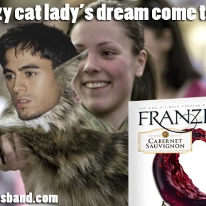 Don’t Worry, I’m A Crazy Cat Lady&nbsp;Too