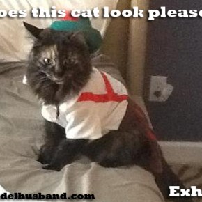 Should Animals Wear&nbsp;Clothes?