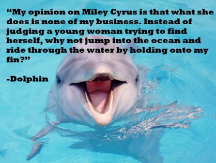 dolphin3